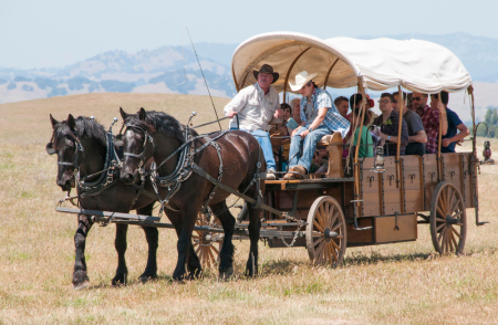 A traditional wagon pulled by two horses across a grassy field. A driver, holding the reins, guides the horses while several passengers enjoy the ride, seated under the wagon’s white canvas cover. The backdrop hints at a wide-open landscape, evoking a sense of adventure and historical travel.